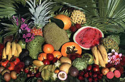 热带水果风味巡礼 从常见珍品到异国奇遇