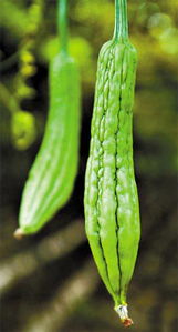 品味台湾风情，臻享健康生活——北京玺盛商贸的台湾美食与有机佳品